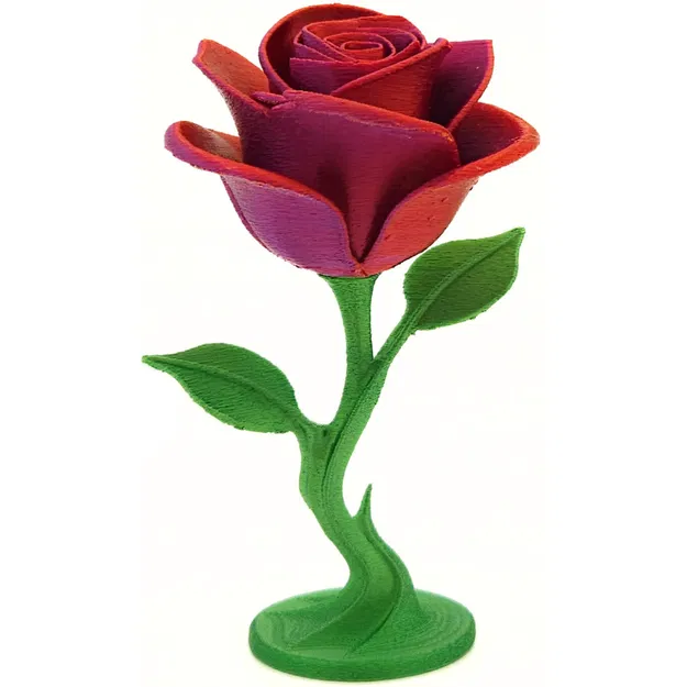 Hoa Hồng Vĩnh Cửu - Image 7