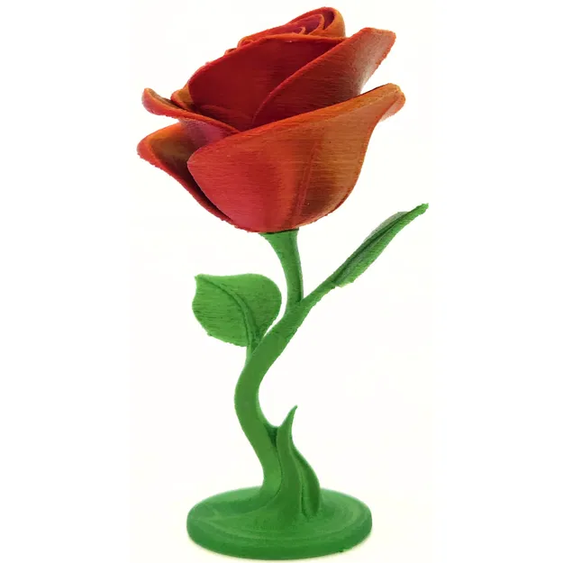 Hoa Hồng Vĩnh Cửu - Image 8