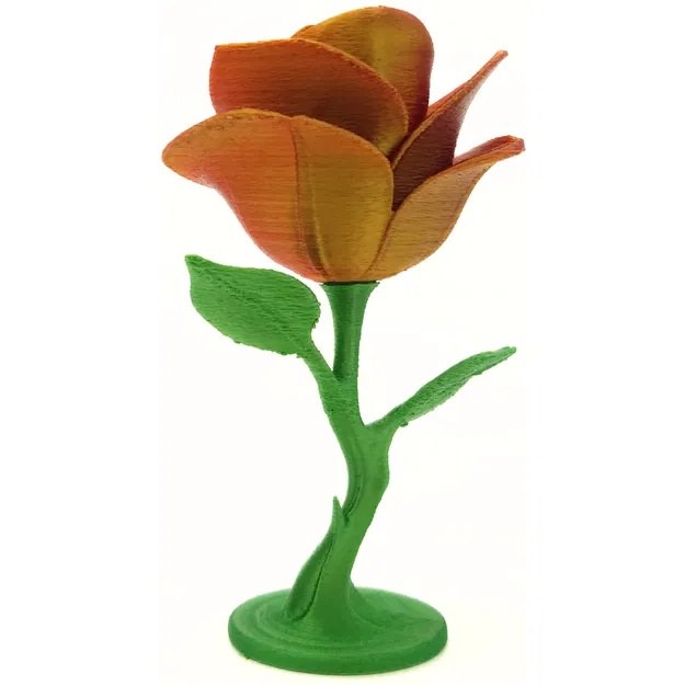 Hoa Hồng Vĩnh Cửu - Image 9