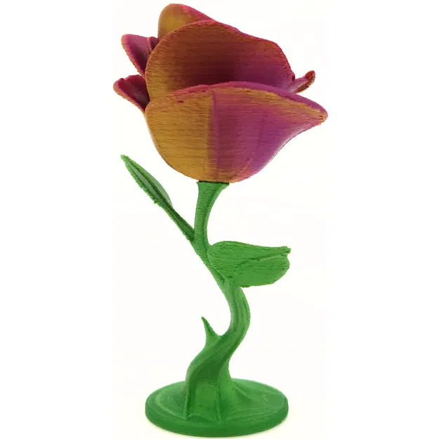 Hoa Hồng Vĩnh Cửu - Image 10