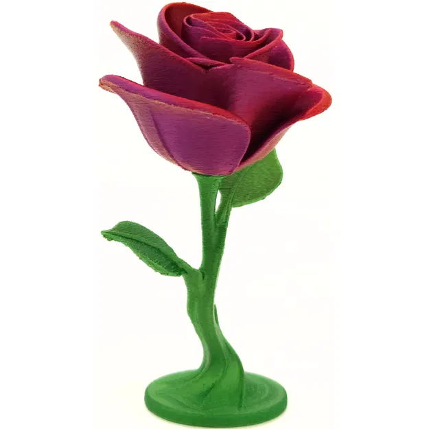 Hoa Hồng Vĩnh Cửu - Image 11