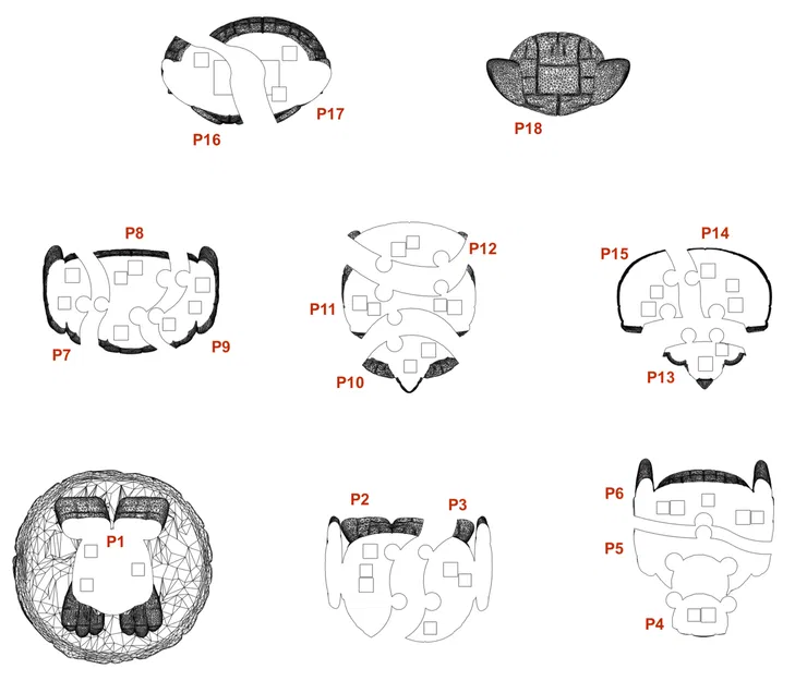 Mô hình ghép hình con cú 3D - Image 3