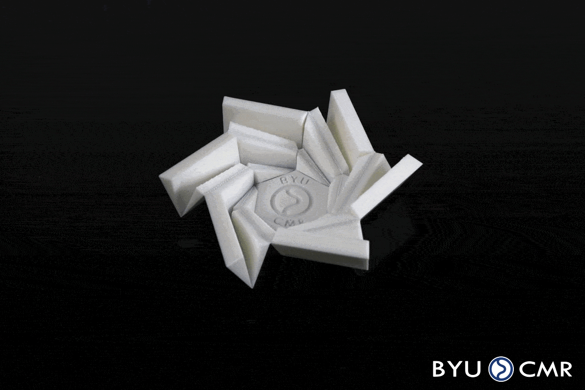 Lục Giác Origami Gập Sống Động