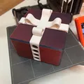 Hộp Quà Tặng/Geschenk Box - Thumbnail 1