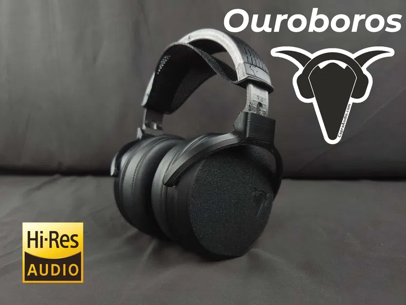 Ouroboros (Tai nghe HiFi Tự làm) - Image 1