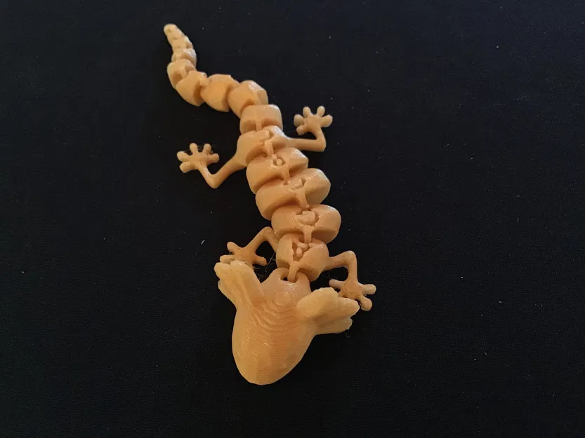 Kỳ Nhông Axolotl Khớp Nối - Image 1