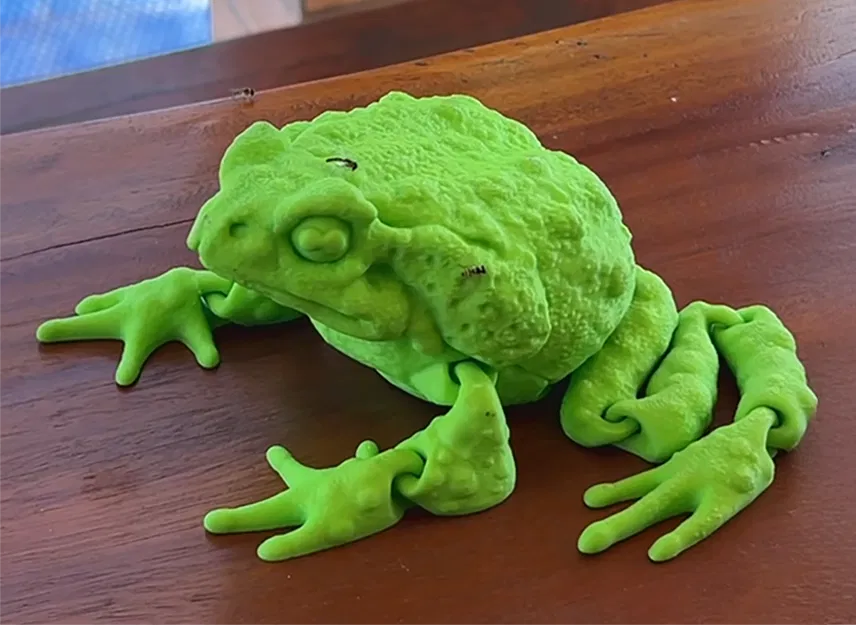 CÓC NHÀ TÁNG (CANE TOAD) FLEXI CÓ KHỚP NỐI - Image 1