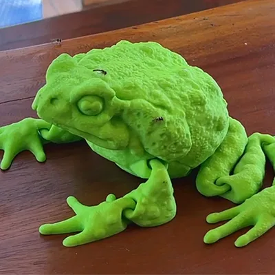 CÓC NHÀ TÁNG (CANE TOAD) FLEXI CÓ KHỚP NỐI