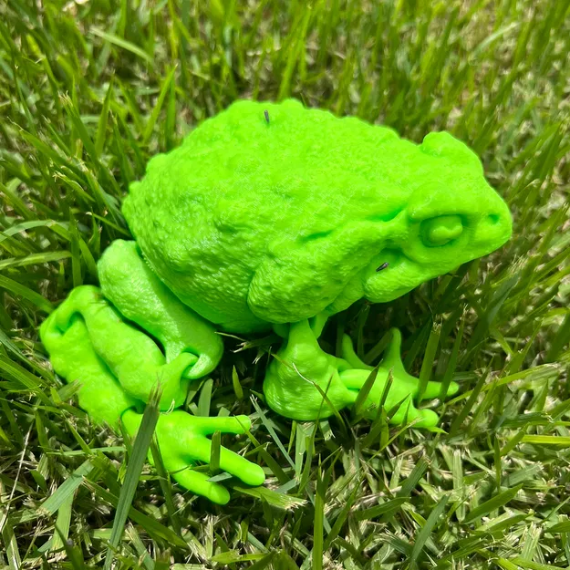 CÓC NHÀ TÁNG (CANE TOAD) FLEXI CÓ KHỚP NỐI - Image 5