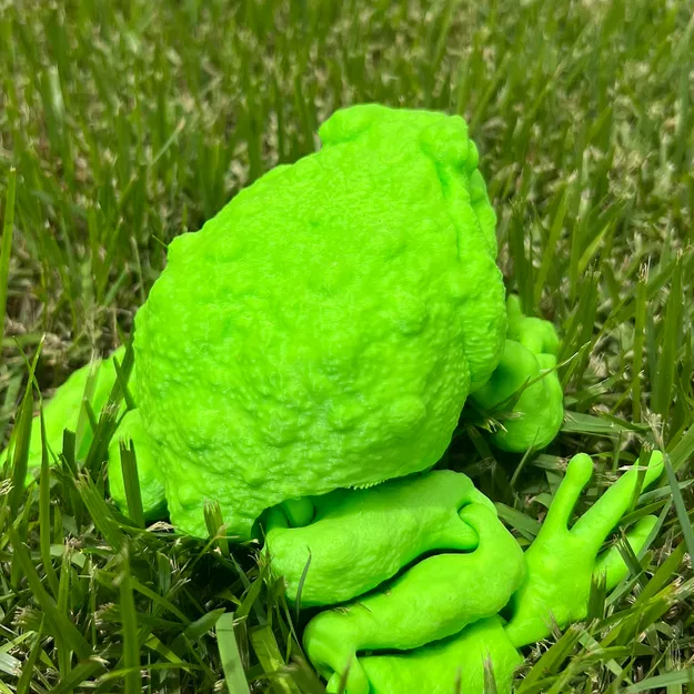 CÓC NHÀ TÁNG (CANE TOAD) FLEXI CÓ KHỚP NỐI - Image 6