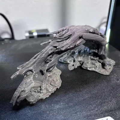 Trang Trí Cầu Cây Thủy Sinh