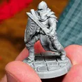 Mô hình Paladin D&D - Thumbnail 2