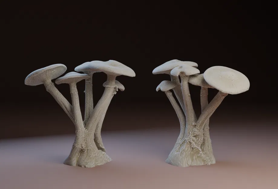 Nhóm Nấm - Image 1