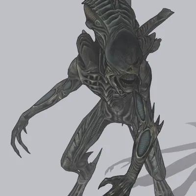 Mô Hình Nữ Hoàng Xenomorph Alien 3D