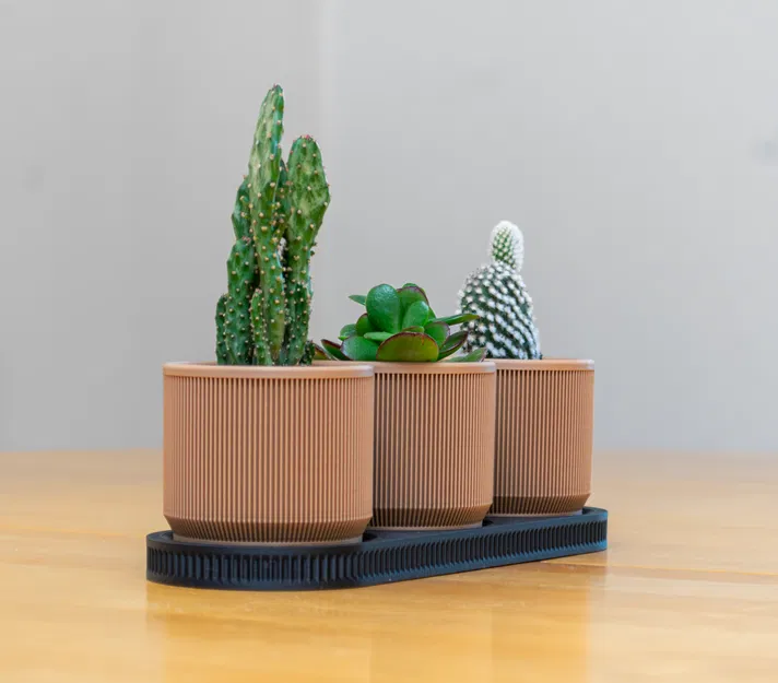 Chậu Cây Mini Phong Cách Mid Century Hiện Đại Có Khay - Image 1