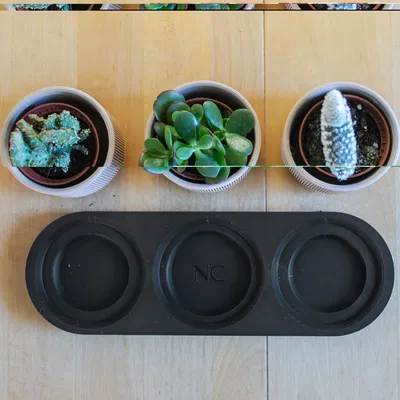 Chậu Cây Mini Phong Cách Mid Century Hiện Đại Có Khay