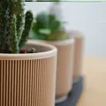 Chậu Cây Mini Phong Cách Mid Century Hiện Đại Có Khay - Thumbnail 4