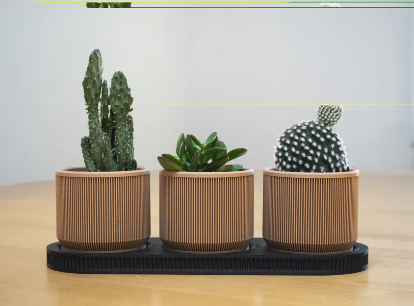 Chậu Cây Mini Phong Cách Mid Century Hiện Đại Có Khay - Image 5