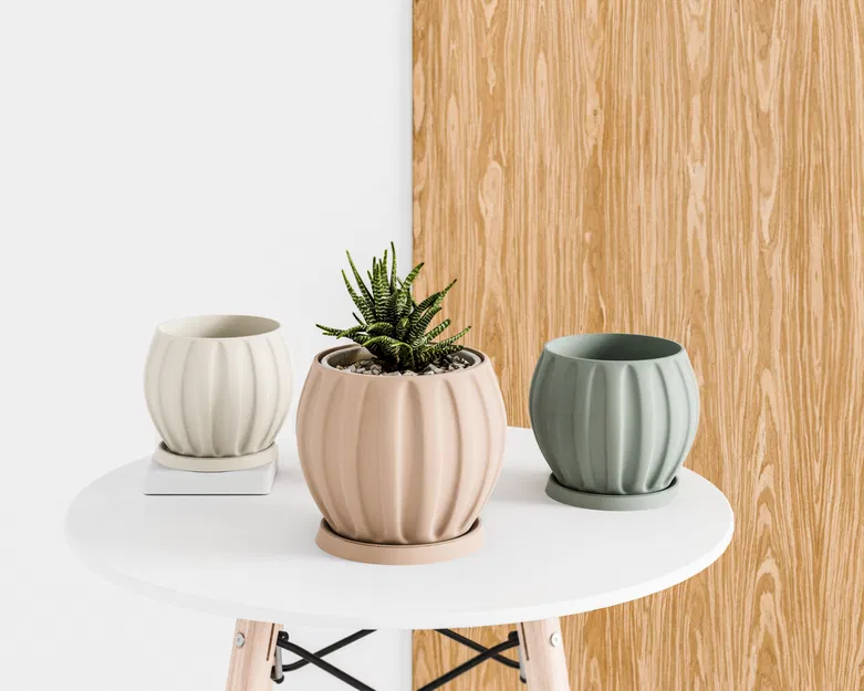 Chậu Cây Trong Nhà Có Khay Thoát Nước - Image 1