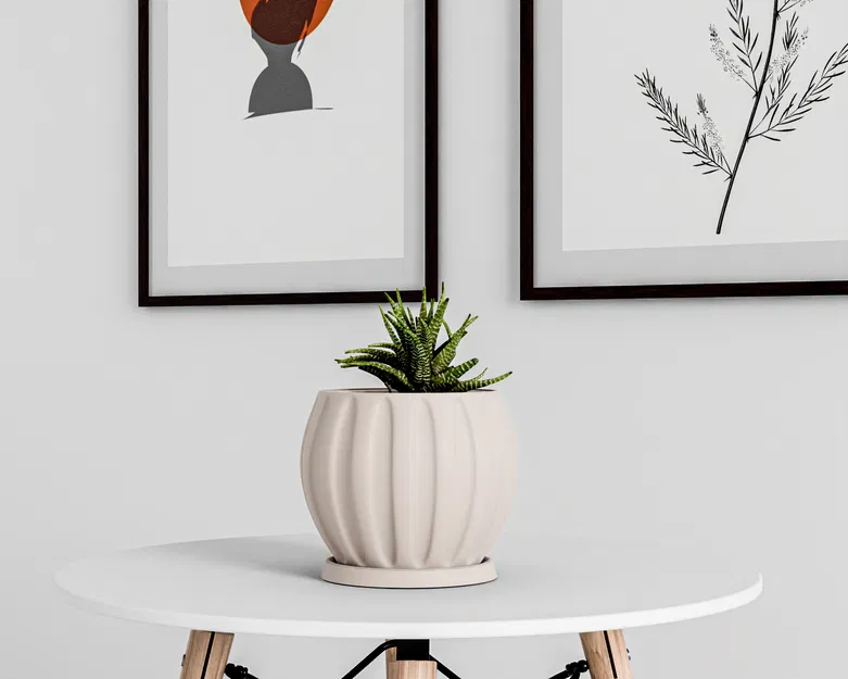 Chậu Cây Trong Nhà Có Khay Thoát Nước - Image 3