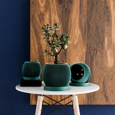 Chậu Cây Trong Nhà Có Lỗ Thoát Nước Và Khay