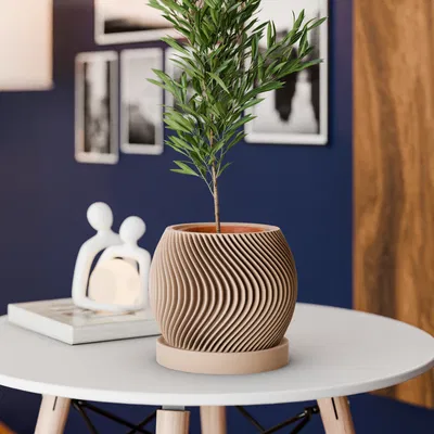 Chậu Cây Trong Nhà Có Lỗ Thoát Nước Và Khay