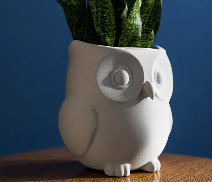 Chậu Cây Trong Nhà Hình Cú - Image 4