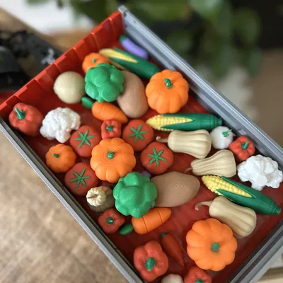 Khu Vườn Rau Củ Cho Bé