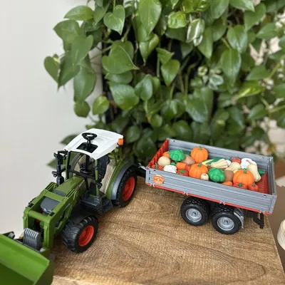 Khu Vườn Rau Củ Cho Bé