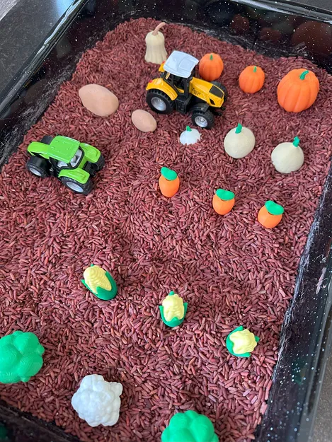 Khu Vườn Rau Củ Cho Bé - Image 6