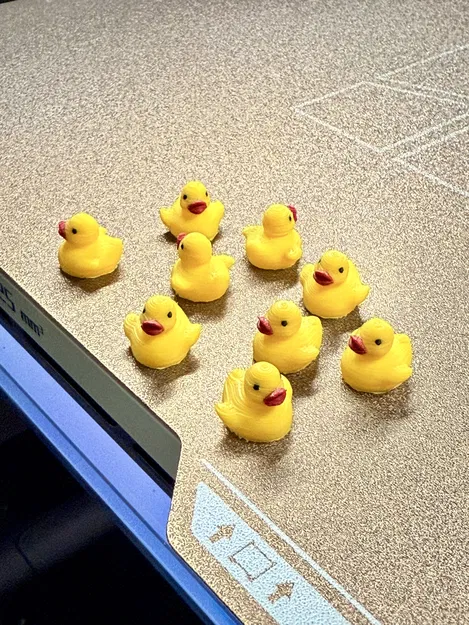 Con Vịt Mini Tí Hon - Image 2