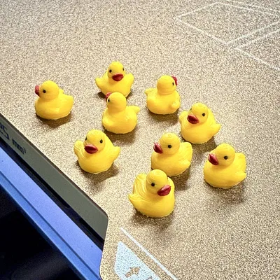 Con Vịt Mini Tí Hon