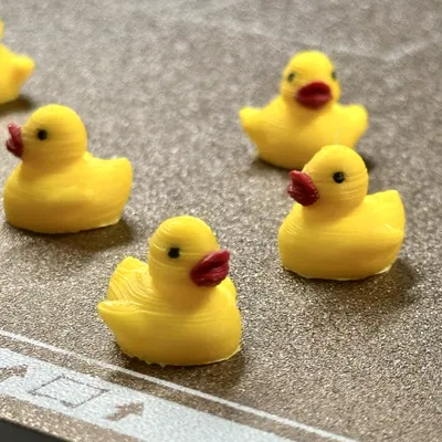 Con Vịt Mini Tí Hon