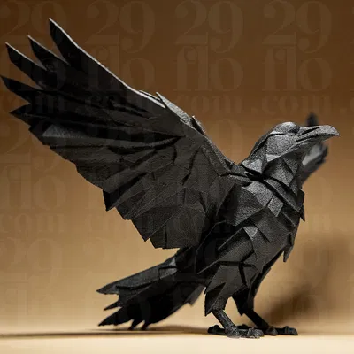 Raven - Tượng Hình Học