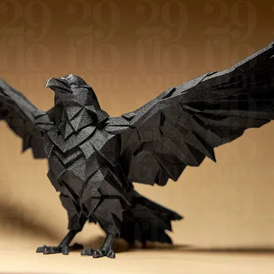 Raven - Tượng Hình Học