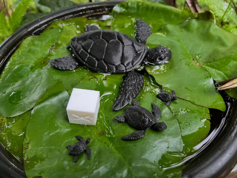 Rùa Tí Hon Khớp Nối Mini - Image 1