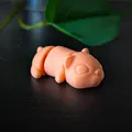 Chuột Hamster Dẻo - Mô hình in 3D - Thumbnail 5