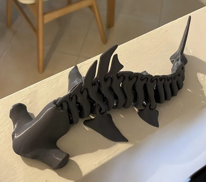 Xương Cá Mập Đầu Búa - Image 1