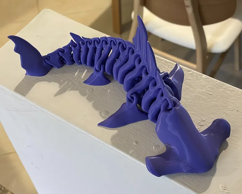 Xương Cá Mập Đầu Búa - Image 3