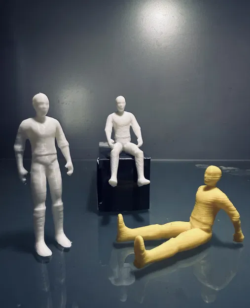 Mô hình người ở 3 tư thế - Image 1