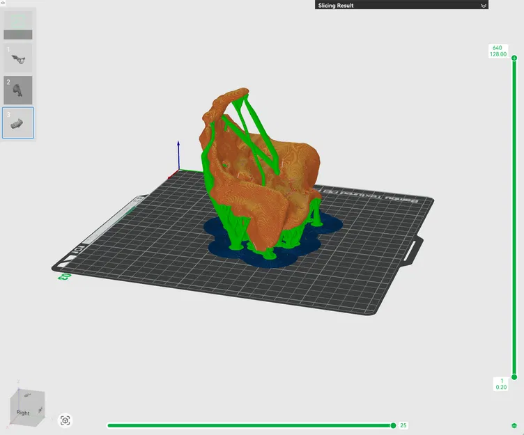 Xương Chậu Nữ Visible Human Kích Thước Thật - Image 7