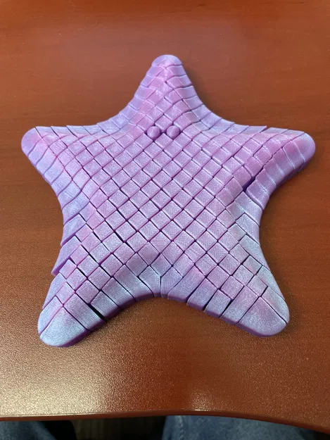 Starfish Fidget - In 3D - Image 1