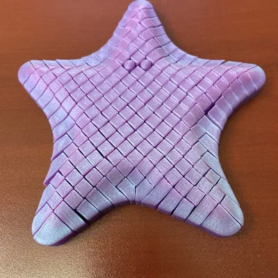 Starfish Fidget - In 3D