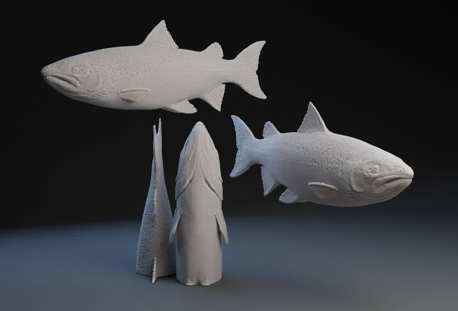 Cá Hồi : Cá - Image 1