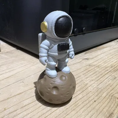 Phi hành gia vũ trụ trên đá