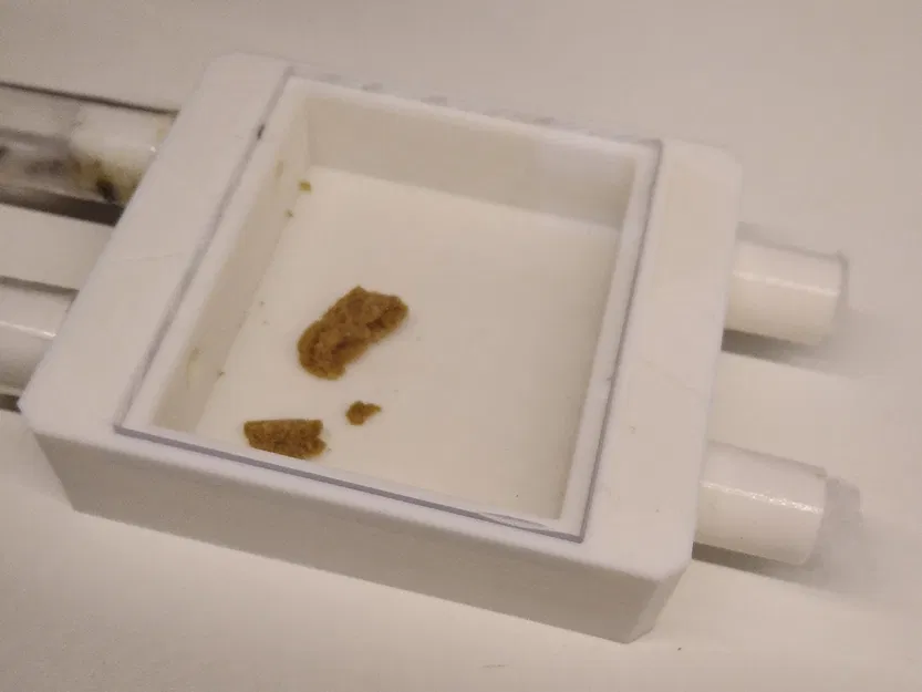 Chuồng kiến tùy chỉnh - Image 1