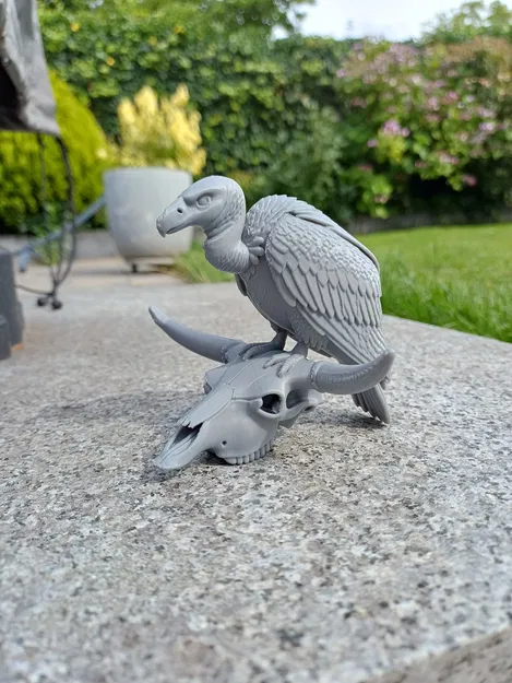 Desert Sentinel – Kền kền & Đầu lâu - Image 1