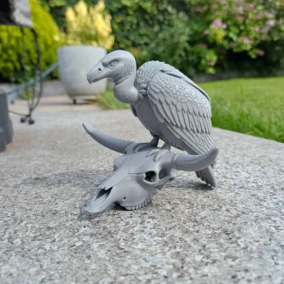 Desert Sentinel – Kền kền & Đầu lâu