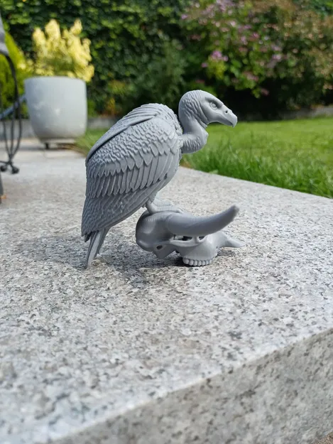 Desert Sentinel – Kền kền & Đầu lâu - Image 2