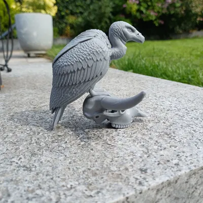 Desert Sentinel – Kền kền & Đầu lâu